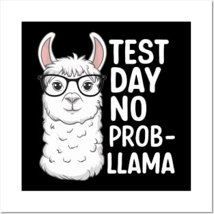 Test Day No Prob-llama Posters and Art